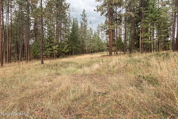 1.25 Acres of Residential Land for Sale in Moyie Springs, Idaho