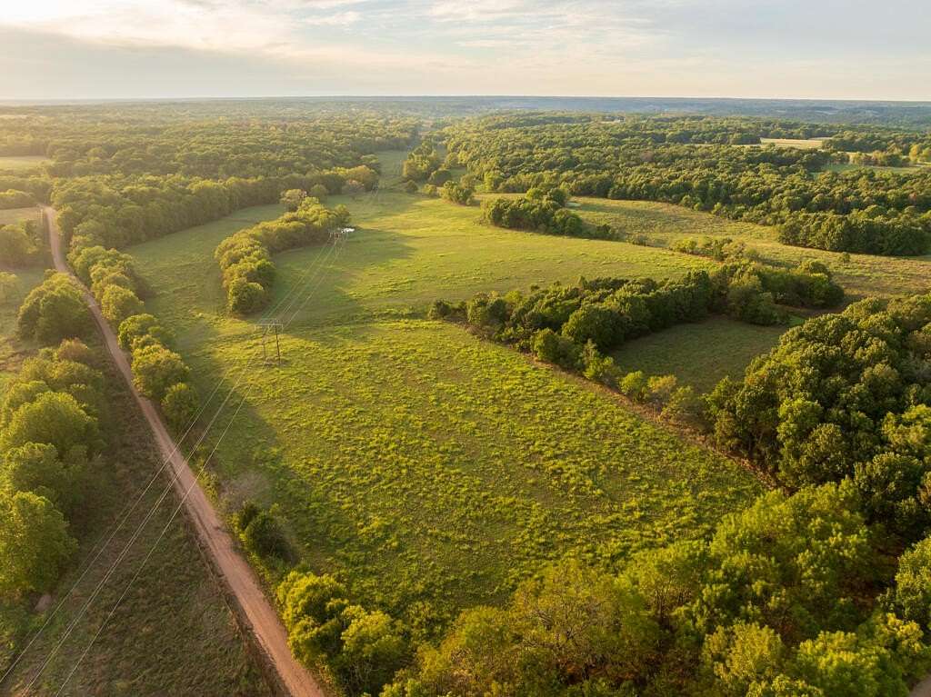 295 Acres of Land for Sale in Anderson, Missouri
