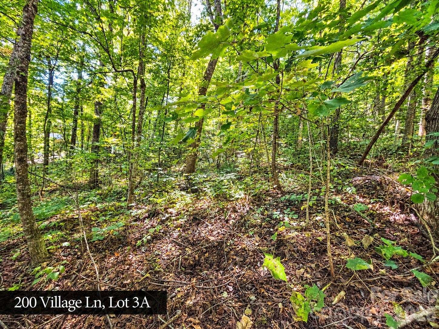 1.19 Acres of Residential Land for Sale in Waynesville, North Carolina