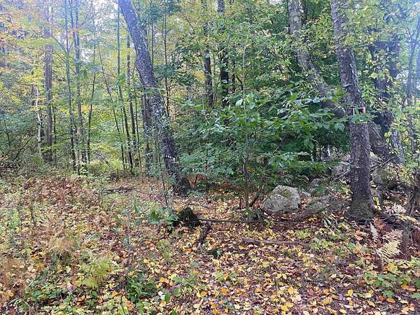 5 Acres of Residential Land for Sale in Springfield, Vermont