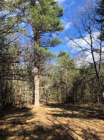 15 Acres of Recreational Land for Sale in Holton, Michigan