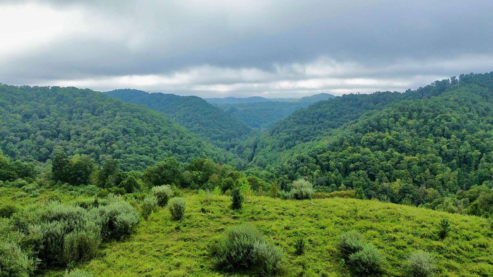 680 Acres of Land with Home for Sale in Pilgrim, Kentucky
