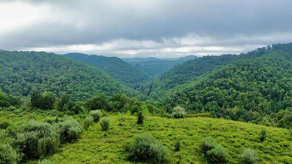 680 Acres of Land with Home for Sale in Pilgrim, Kentucky