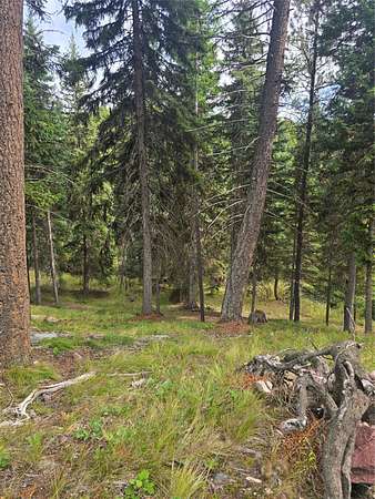 3.67 Acres of Residential Land for Sale in Seeley Lake, Montana