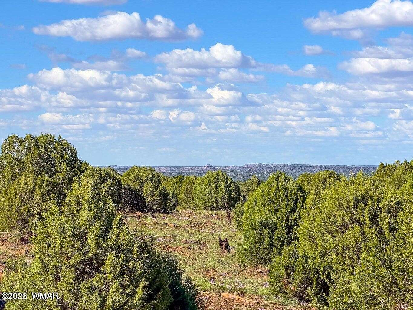 8 Acres of Residential Land for Sale in Show Low, Arizona
