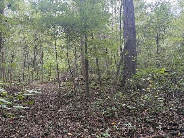 3.74 Acres of Land for Sale in Green Bay, Virginia