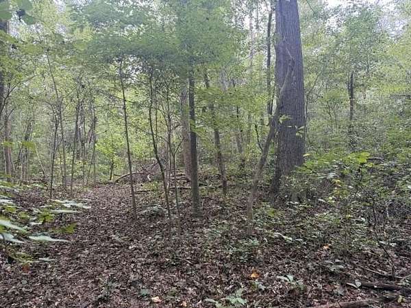 3.74 Acres of Land for Sale in Green Bay, Virginia