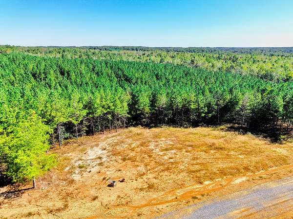 5 Acres of Residential Land for Sale in Erin, Tennessee