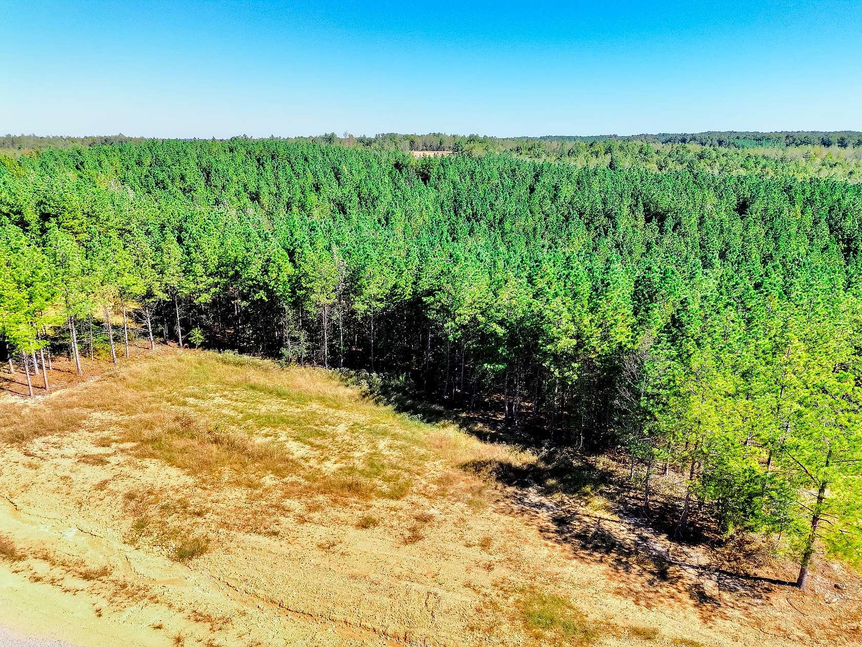 5 Acres of Residential Land for Sale in Erin, Tennessee