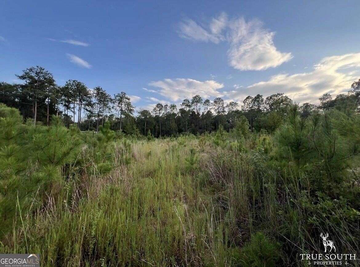 20 Acres of Land for Sale in Eastman, Georgia