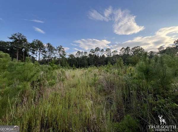 20 Acres of Land for Sale in Eastman, Georgia