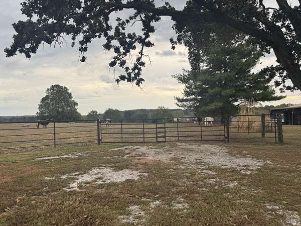 10 Acres of Land for Sale in Bolivar, Missouri