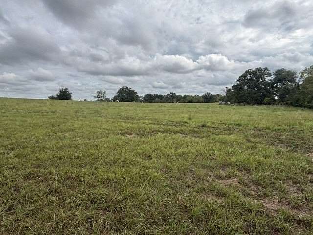 38.4 Acres of Agricultural & Residential Land for Sale in Eustace, Texas