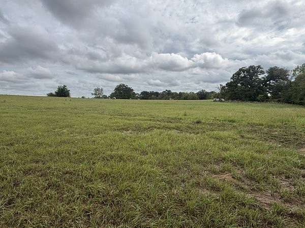 38.4 Acres of Agricultural & Residential Land for Sale in Eustace, Texas