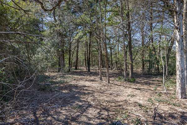 4.8 Acres of Residential Land for Sale in Caldwell, Texas
