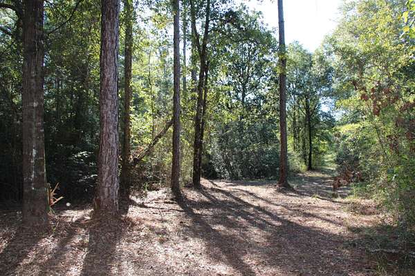 25.5 Acres of Land for Sale in Laurel Hill, Florida