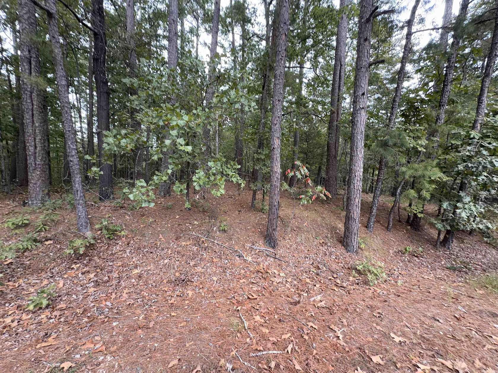 0.29 Acres of Residential Land for Sale in Hot Springs Village, Arkansas