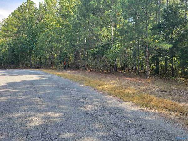 20 Acres of Recreational Land for Sale in Houston, Alabama