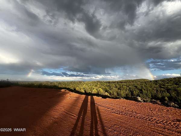 59.9 Acres of Land for Sale in Show Low, Arizona
