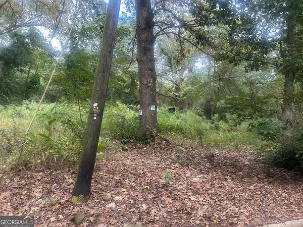 0.15 Acres of Residential Land for Sale in Manchester, Georgia