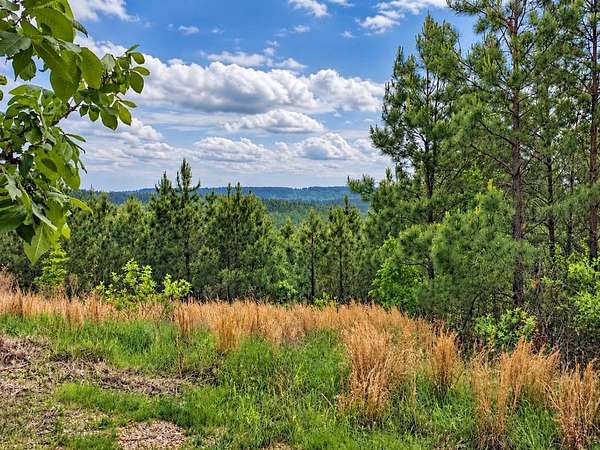 1.1 Acres of Residential Land for Sale in Broken Bow, Oklahoma