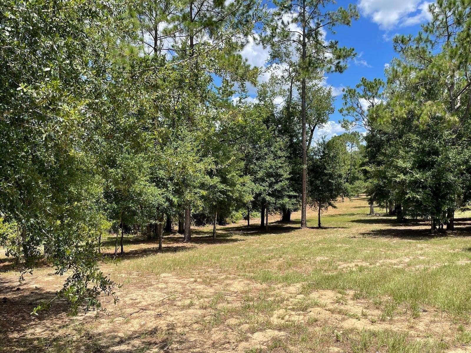 5.62 Acres of Residential Land for Sale in Eustis, Florida