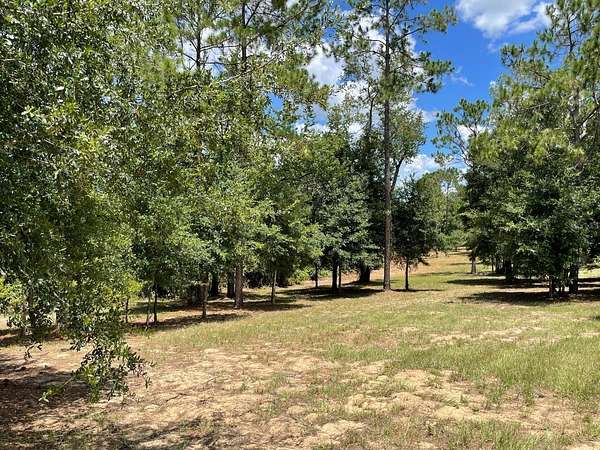 5.62 Acres of Residential Land for Sale in Eustis, Florida