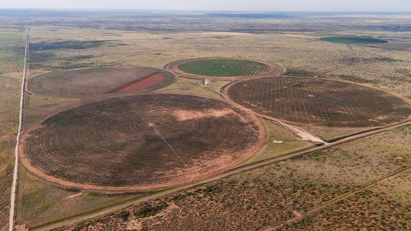 Land for Sale in Seminole, Texas