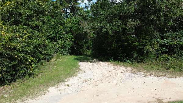 1.55 Acres of Residential Land for Sale in Wewahitchka, Florida