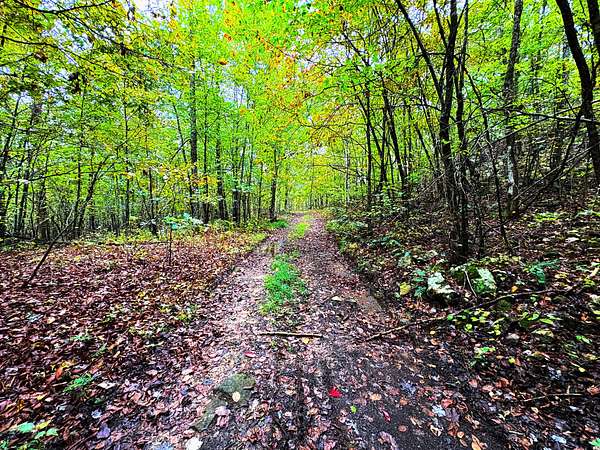 100 Acres of Recreational Land for Sale in Witter, Arkansas
