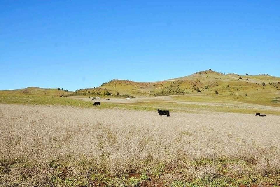 2.5 Acres of Land for Sale in Hornbrook, California