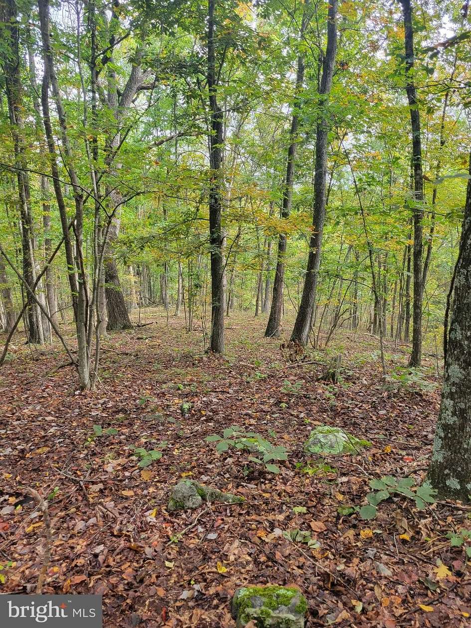 17.4 Acres of Recreational Land for Sale in Delray, West Virginia