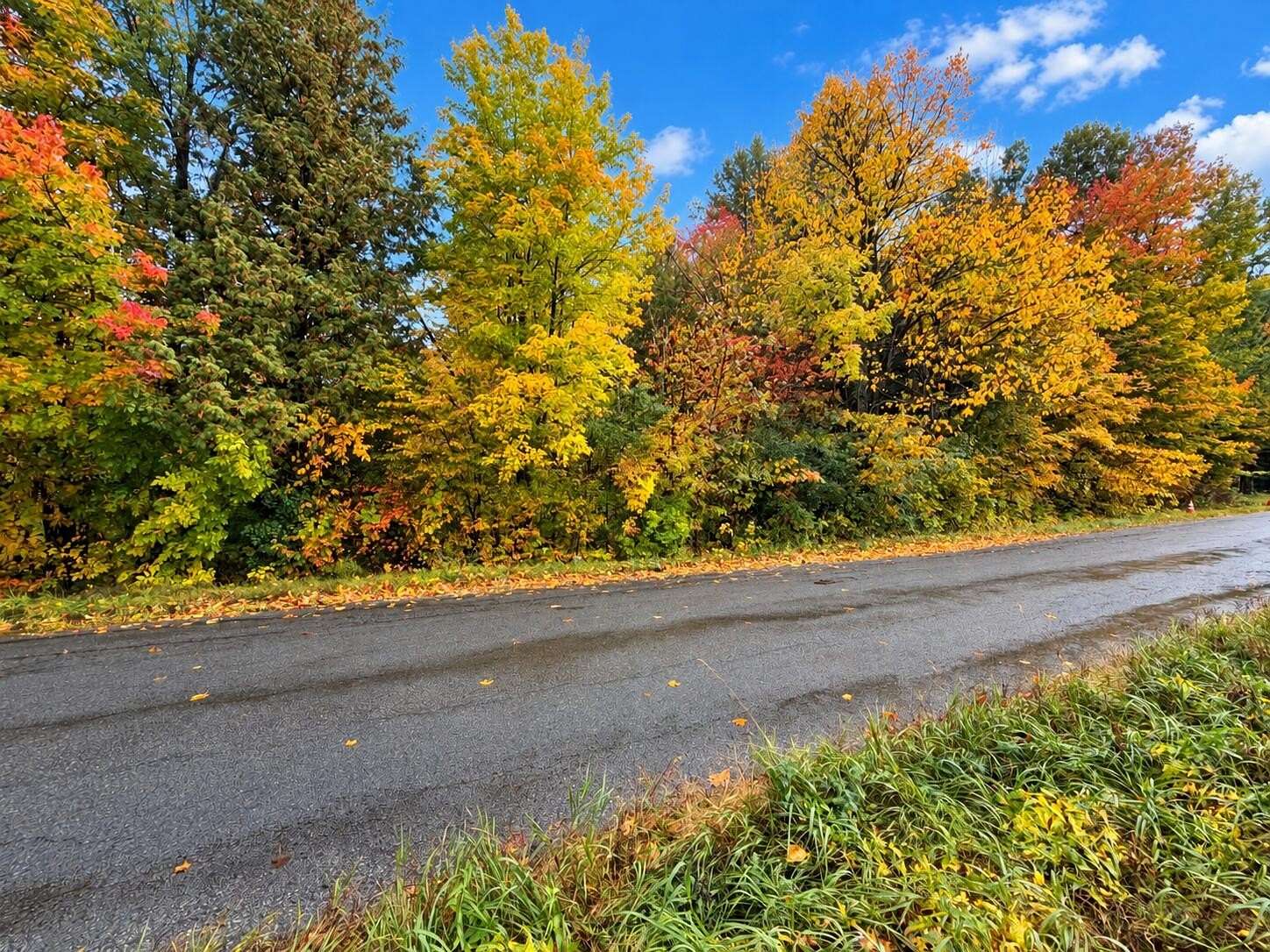 7.5 Acres of Land for Sale in Mooers, New York