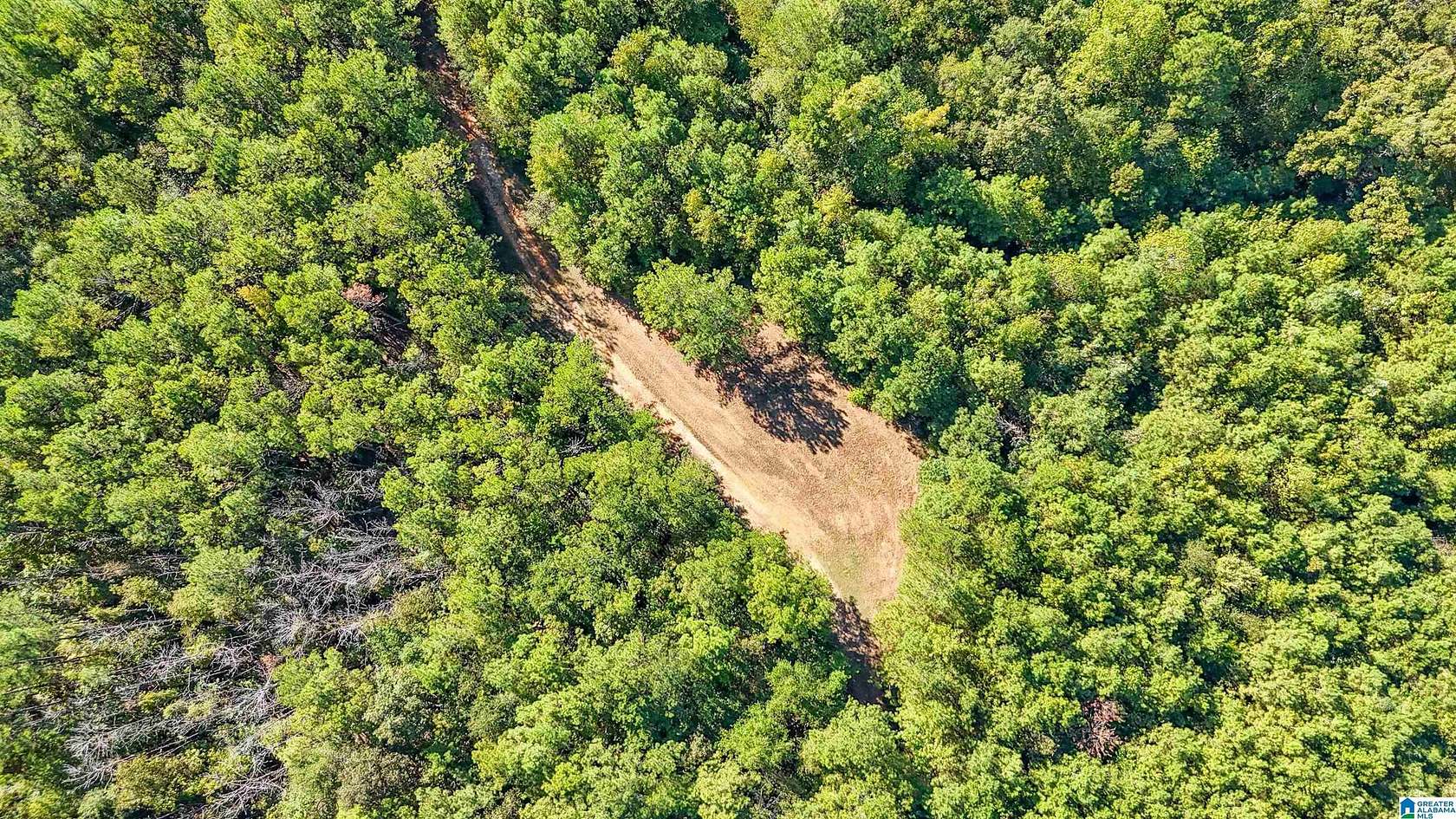 6.34 Acres of Residential Land for Sale in Centreville, Alabama