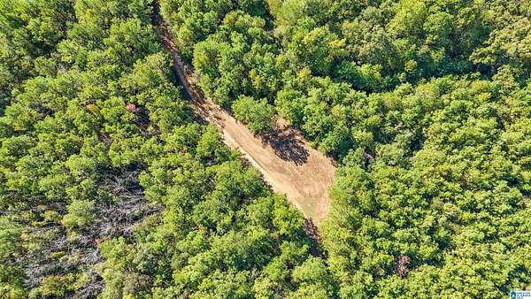 6.34 Acres of Residential Land for Sale in Centreville, Alabama