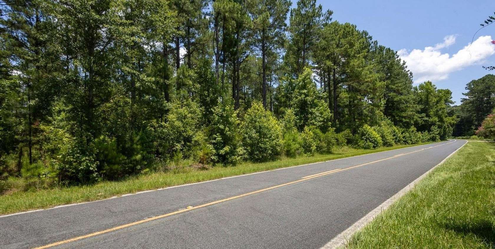 36 Acres of Land for Sale in Hemingway, South Carolina