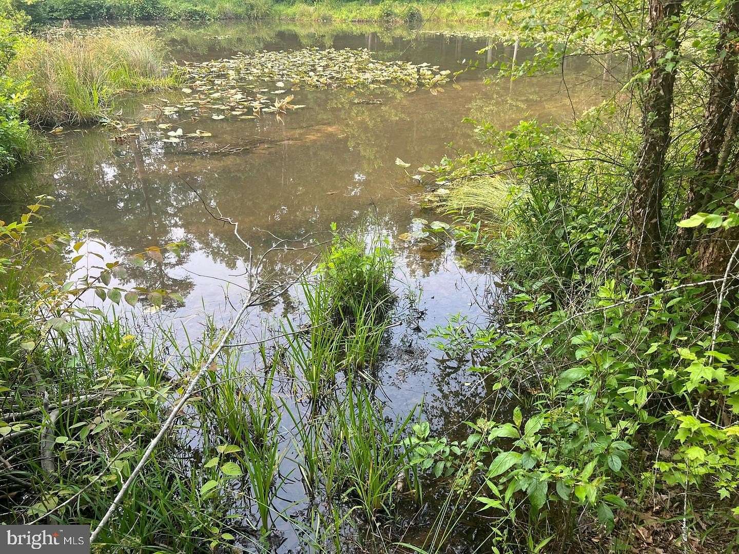2.18 Acres of Land for Sale in Mineral, Virginia