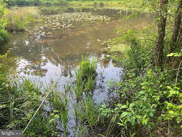 2.18 Acres of Land for Sale in Mineral, Virginia