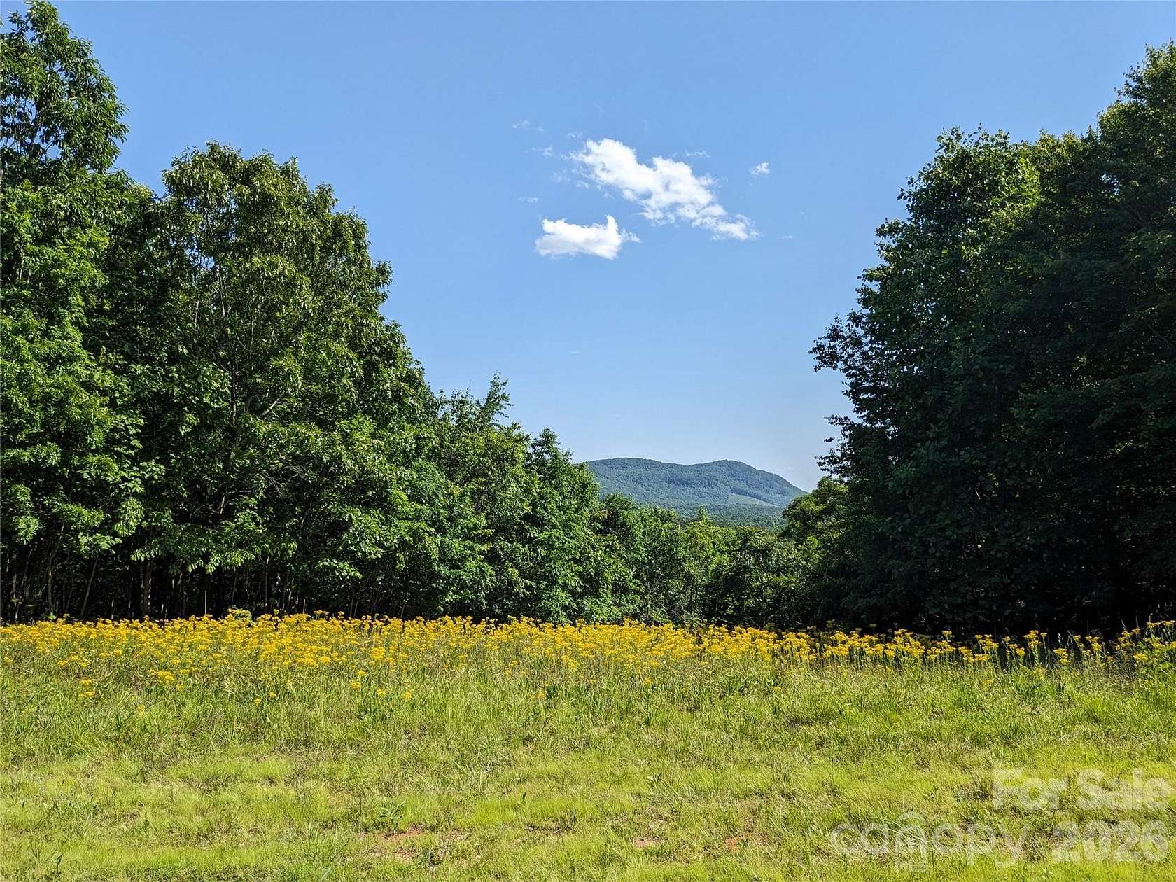 3.37 Acres of Residential Land for Sale in Bostic, North Carolina