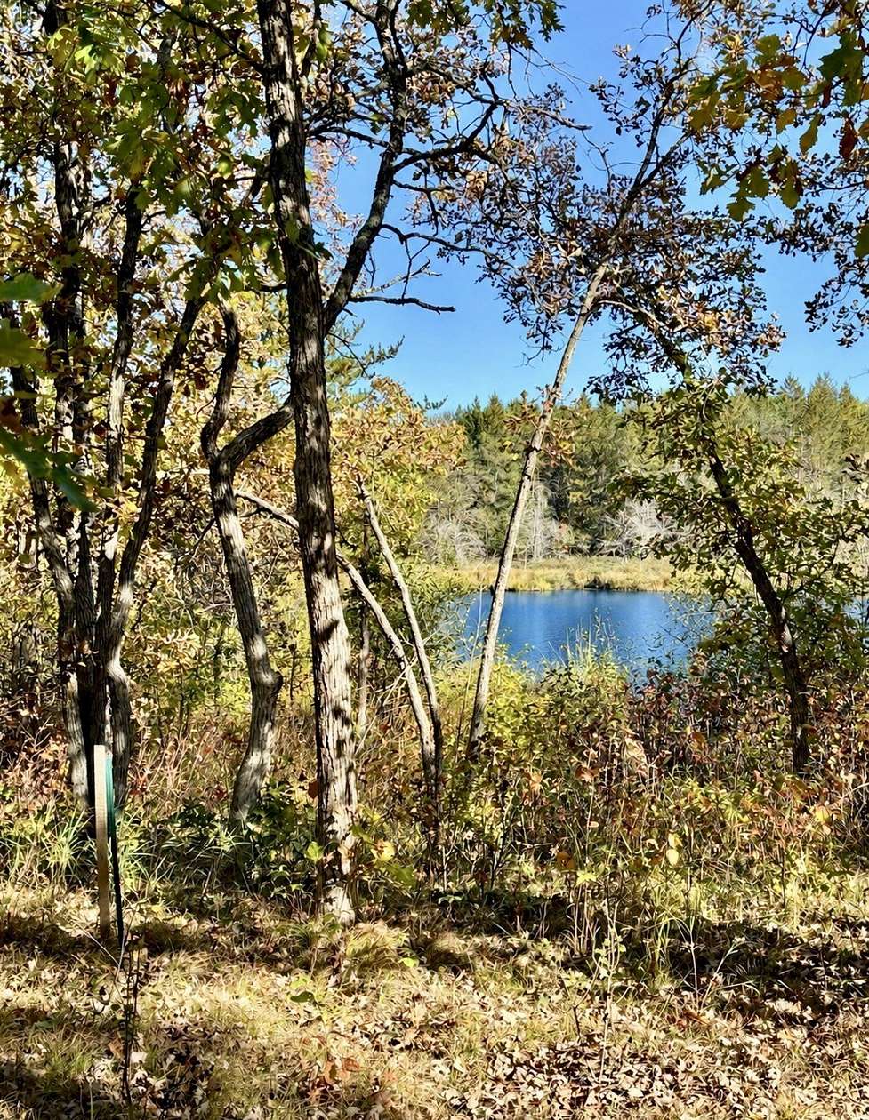 10 Acres of Recreational & Residential Land for Sale in Solon Springs, Wisconsin