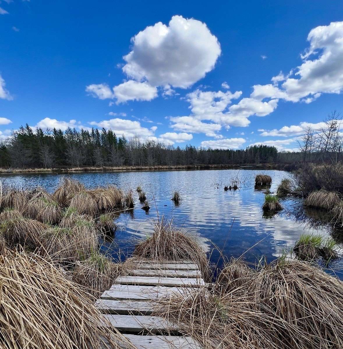 10 Acres of Recreational & Residential Land for Sale in Solon Springs, Wisconsin
