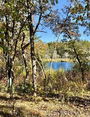 10 Acres of Recreational & Residential Land for Sale in Solon Springs, Wisconsin