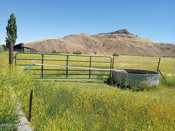 9 Acres of Agricultural Land for Sale in Woodruff, Arizona