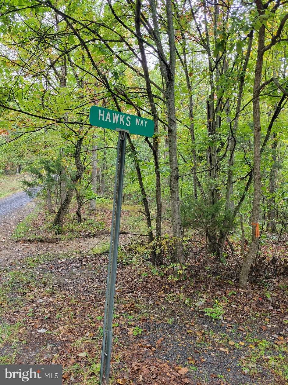 13.4 Acres of Recreational Land for Sale in Delray, West Virginia