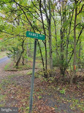 13.4 Acres of Recreational Land for Sale in Delray, West Virginia