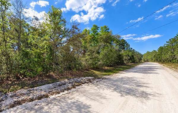 3 Acres of Residential Land for Sale in Old Town, Florida