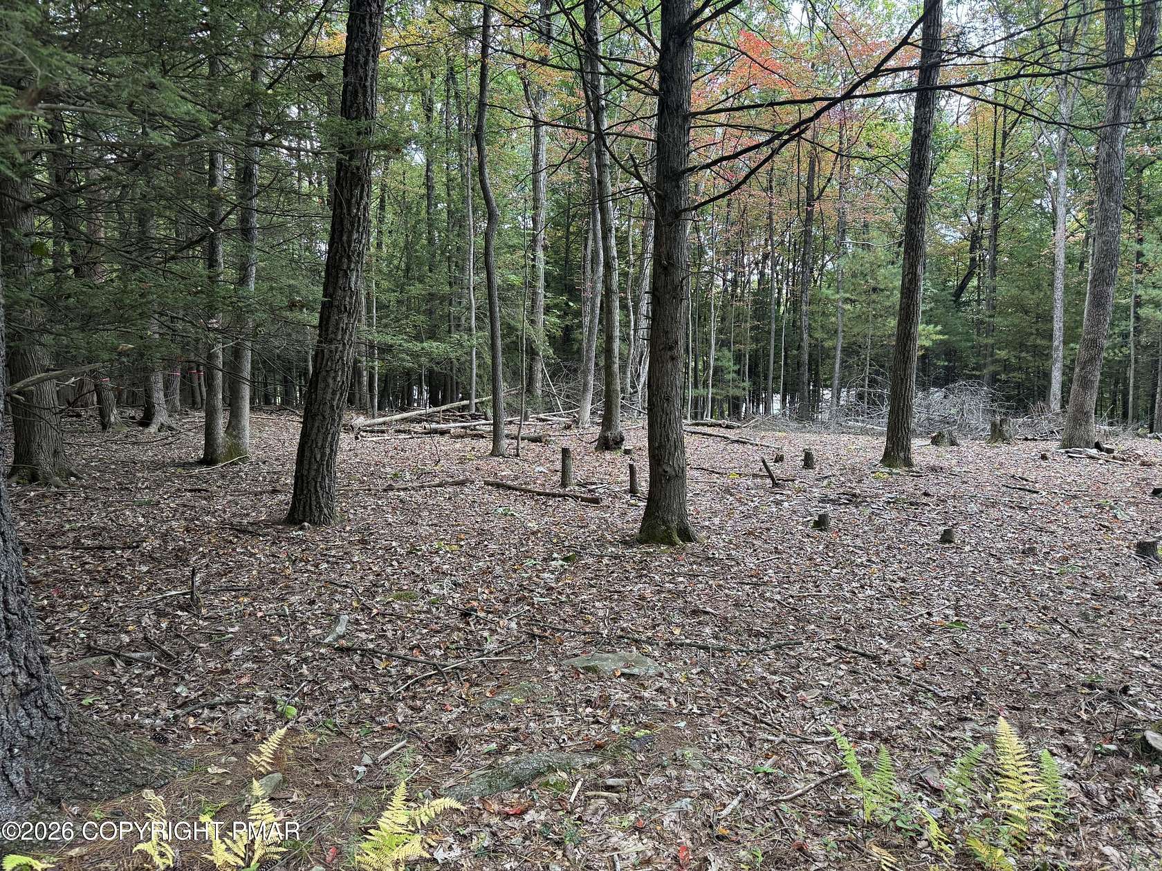 1 Acre of Residential Land for Sale in Saylorsburg, Pennsylvania