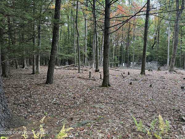 1 Acre of Residential Land for Sale in Saylorsburg, Pennsylvania