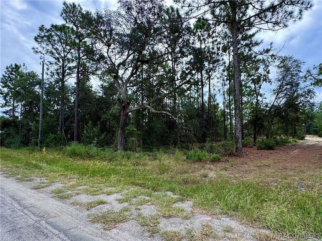 0.23 Acres of Land for Sale in Citrus Springs, Florida