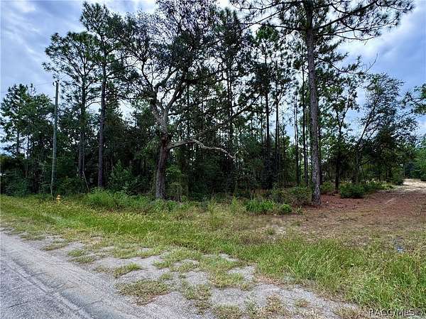 0.23 Acres of Land for Sale in Citrus Springs, Florida